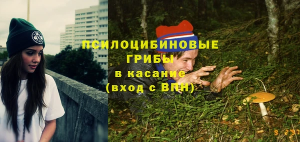 таблы Верхний Тагил