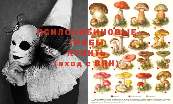 таблы Верхний Тагил