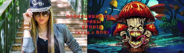 СК Верея